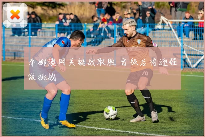 李娜澳网关键战取胜 晋级后将迎强敌挑战