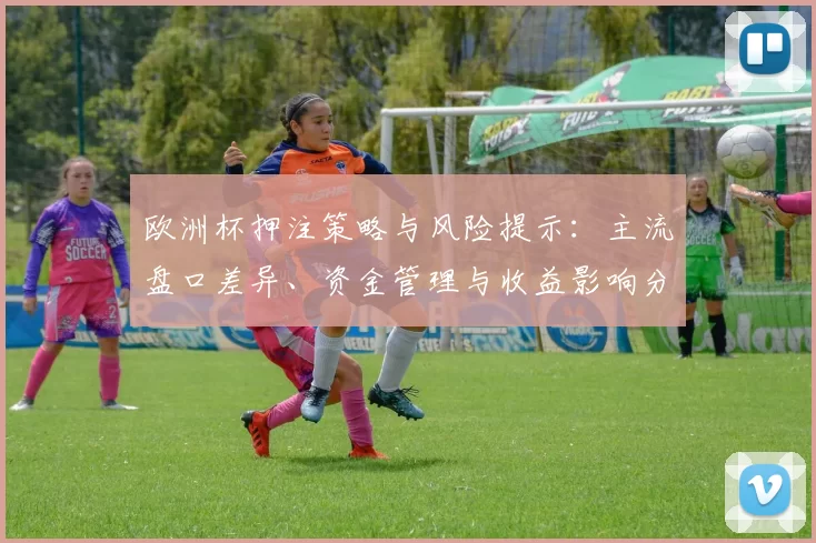 欧洲杯押注策略与风险提示：主流盘口差异、资金管理与收益影响分析