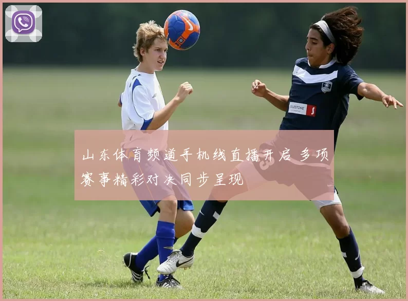 山东体育频道手机线直播开启 多项赛事精彩对决同步呈现