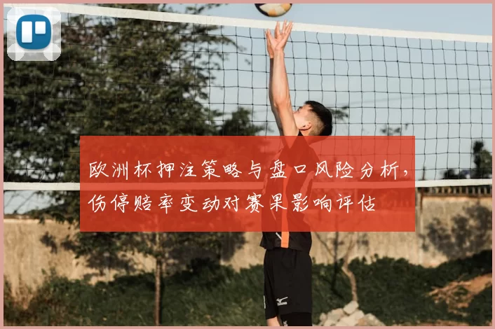 欧洲杯押注策略与盘口风险分析，伤停赔率变动对赛果影响评估