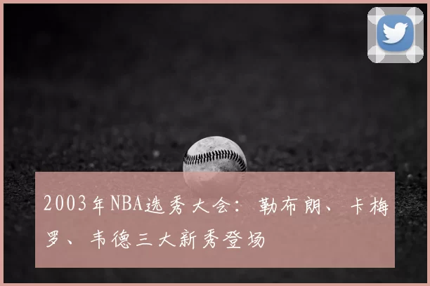 2003年NBA选秀大会：勒布朗、卡梅罗、韦德三大新秀登场